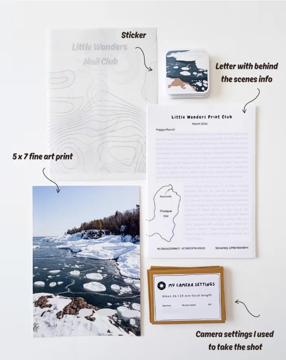 Little Wonders Print Club